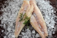 Koljafile 20% 100/300g 5kg