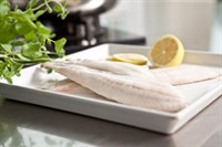Stillahavsflundrafilé 120g+ 5kg