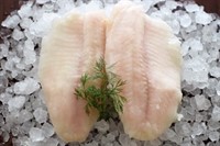 Niltilapiafilé u/s 120-160g