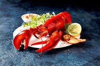 Hummer Hel kokt 10x350g Ispack Kapsel
