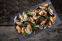 Gröna Musslor 1kg