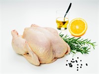 Majskyckling FR Hel 1,1kg Fryst