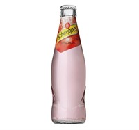 Russchian Schweppes 24x25cl