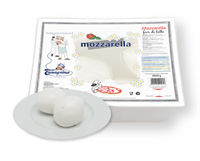 Mozzarella 30x100g/Tråg Tanagrina