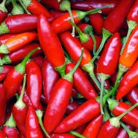 Peppar Piri Piri Färsk