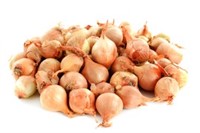 Steklök Gul 10x250g