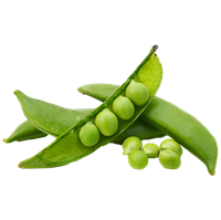Haricots Verts 250g Ask