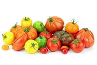 Tomat Gourmet Mix trälåda 3,5kg