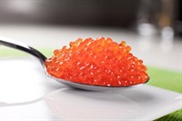 Forellrom "Regnbågsrom" 12x500g